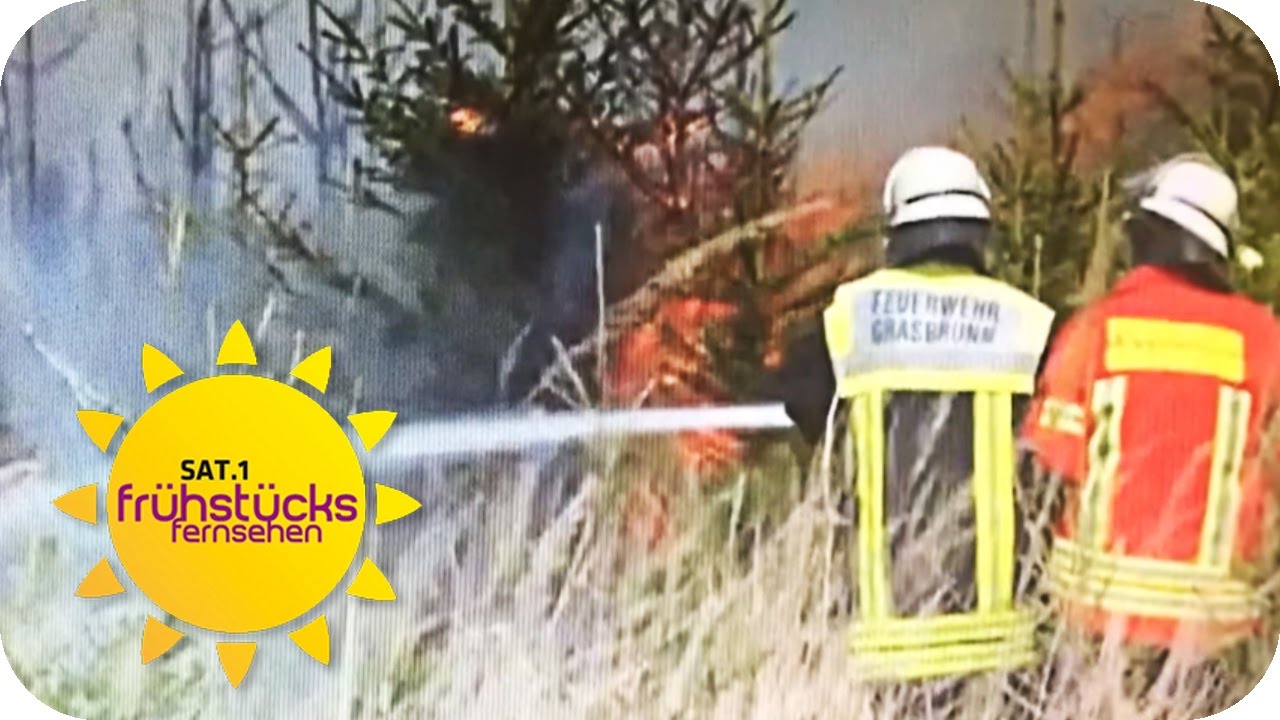 12 BRÄNDE IN 3 WOCHEN: Wer ist der BRANDSTIFTER? | SAT.1 Frühstücksfernsehen | TV