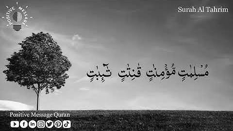 Surah_Al_Tahrim_-_Islam_Sobhi_ᴴᴰ__سورة_التحريم_-_إسلام_صبحي(360p)