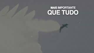 Zimbra - Eu vi tudo - Versão Karaokê