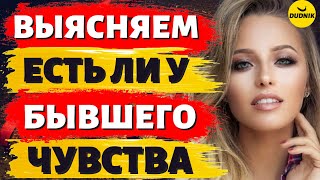 видео: Выясняем есть ли Чувства у твоего Бывшего Парня! картинка: Выясняем есть ли Чувства у твоего Бывшего Парня!