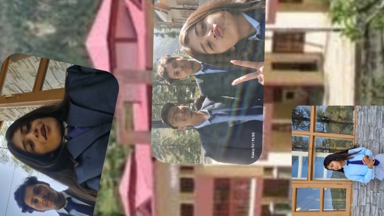 RANDOM VLOGGING AT COHF THUNAG | DR. Y.S PARMAR UNIVERSITY OF HORTICULTURE AND FORESTRY |