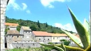 Dalmatino - Cvit Od Kamena (Official Music Video)