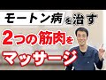 モートン病を治す2つの筋肉のマッサージ方法|足の悩み解消チャンネル