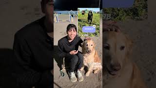 犬の甘噛みについて🦷　#shorts 