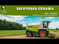 Заготовка сенажа 2021, ООО «Родина».