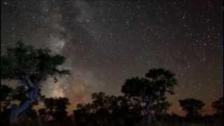 The Church - Under The Milky Way ( Acoustic Version)