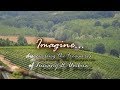 Wine & Cooking Under the Tuscan & Umbrian Sun