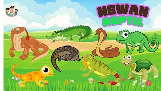 Belajar Mengenal Hewan Reptil untuk Anak, Balita, TK dan Paud - Dunia Anak Cerdas
