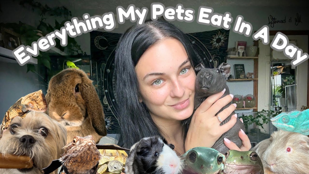 Feeding All Of My Pets!! (We eat a lot over here)