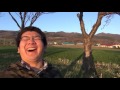 早すぎた花見