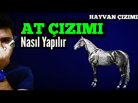 Karakalem Ornekleri Karakalem At Cizimleri Karakalem At Resimleri At Resmi Cizim At At Resmi Nasil Cizilir Karakalem Tay Resmi Karakalem Hd At