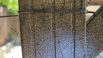 Garden Netting (Feitore 7