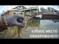 Нашёл место где тусуется рыба зимой на Днестре в Vadul lui Vodă, подобрал приманку с проводкой