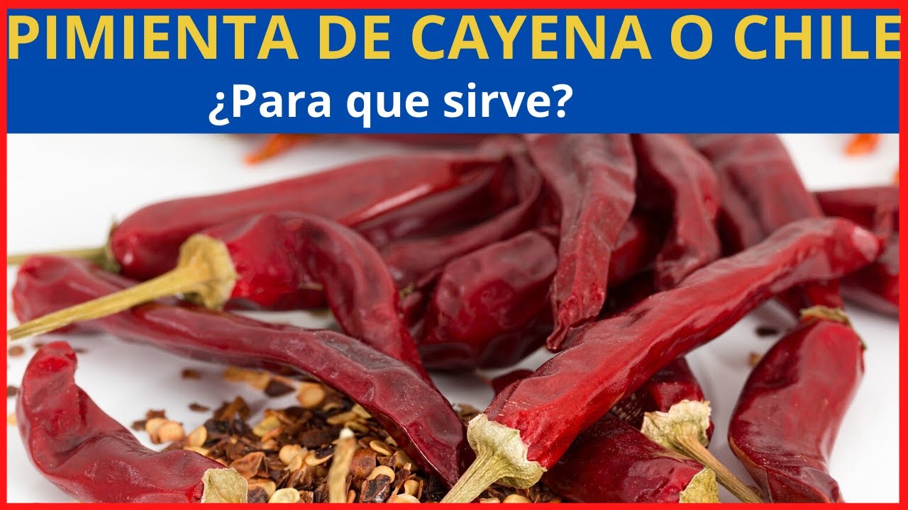 PIMIENTA DE CAYENA para que sirve la PIMIENTA DE CAYENA en la salud y