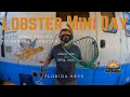 First Time Catching Lobster | Lobster Mini Day