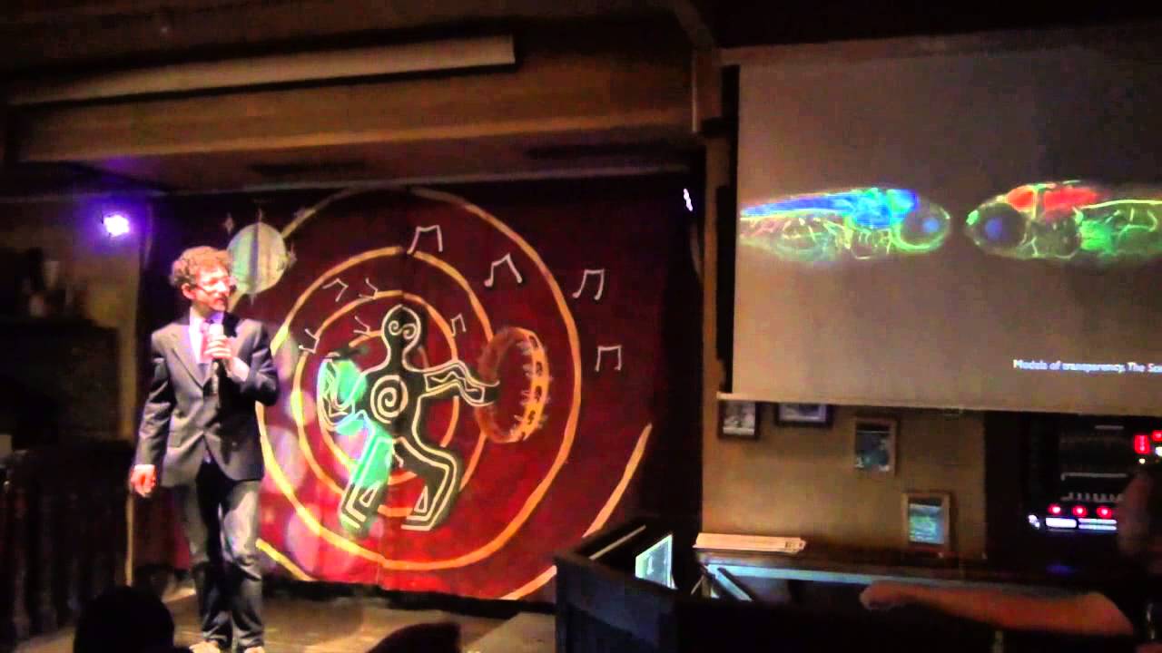 Federico Maria Rossi: Conquering the brain