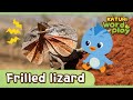 * Frilled Lizard * | Katuri Word Play | Learn Animals | Animals for kids to learn