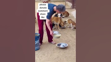 please consider donating to our PayPal link in bio on our Instagram page for support #donordash