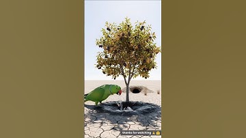 The parrot saved the life of a dying plant, then what happened😭 || #save #tree #parrot #watering #ai