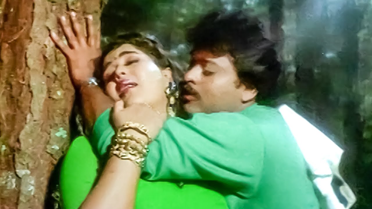 Kondaveeti Donga Songs   Subhalekha Rasukunna   Chiranjeevi Radha   HD