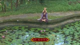 Infinity Quantum Qi Gong on Gary Null DVD How to Release Stress Naturally