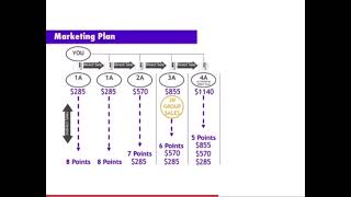 Enagic’s 8 point compensation plan