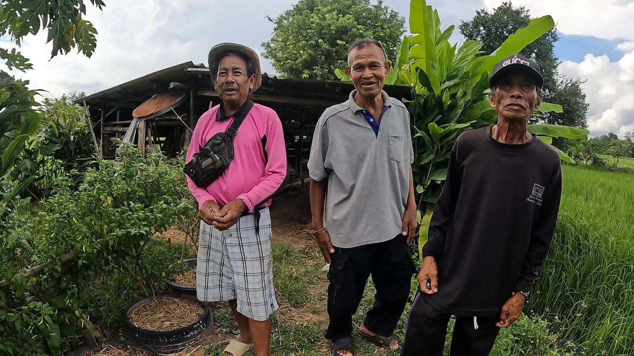 หาเลาะทุ่งนาพ่อเสาร์ วิถีอีสาน