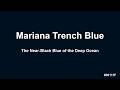 Mariana Trench Blue Screen 1080p (1 hour) | The Near-Black Blue of the Deep Ocean