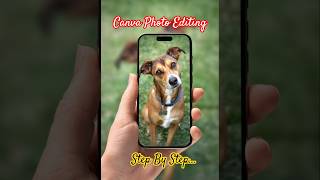 Canva Photo Editing Trick Guide #canvatutorial #MockupTutorial #CanvaTips #DesignHack