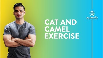 How to Do Cat and Camel Stretch | cult fit Back Stretches for Flexibility  @cult.official