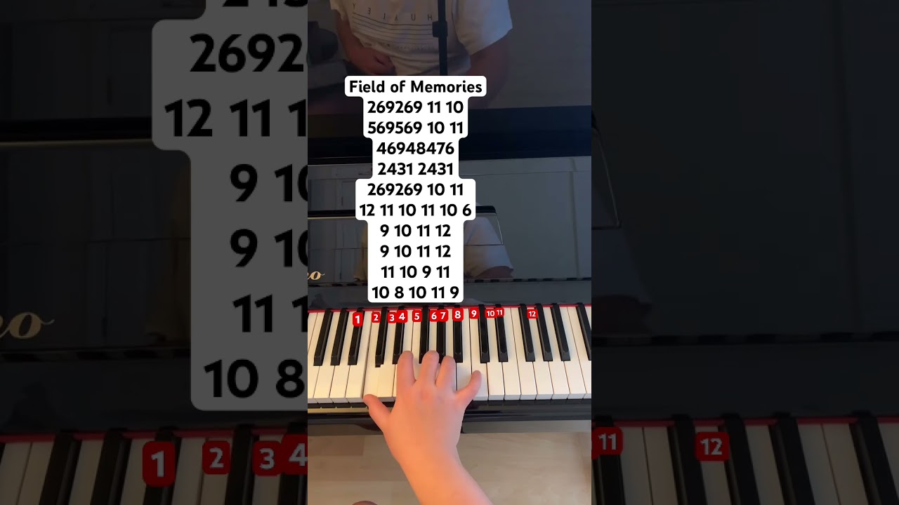 Field of Memories // instagram: jessnotes123 