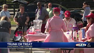LMAS trunk-or-treat offers fee-waived pet adoption