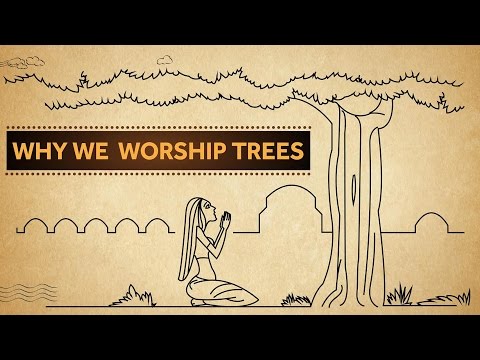 Video: Why Is The Tree Worshiped In India - Alternative View