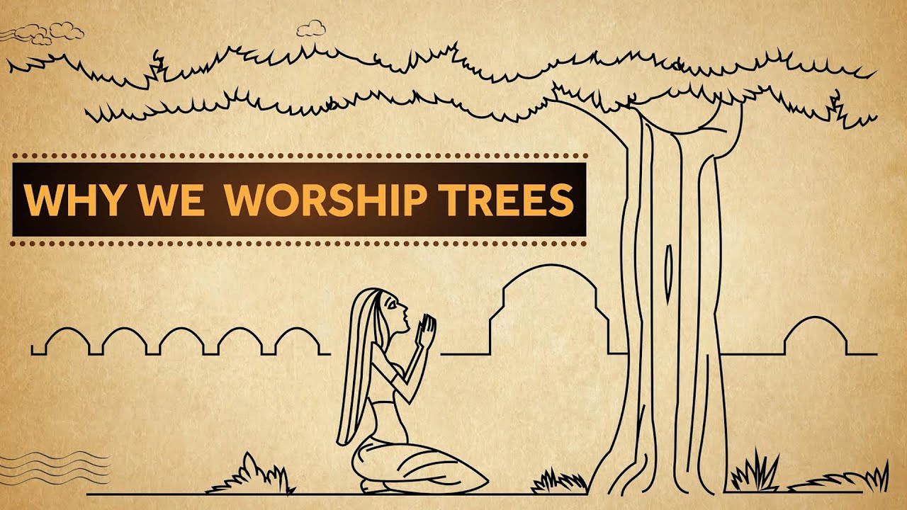 Why We Worship Trees YouTube