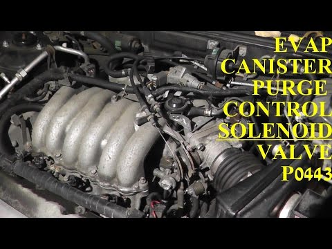 How to Test and Replace EVAP Canister Purge Control SOLENOID Valve P0443