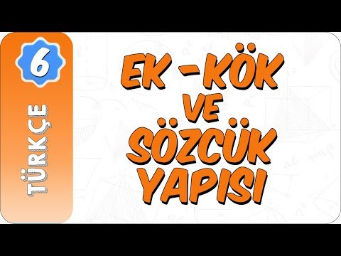 6. Sınıf Türkçe | Ek- Kök ve Sözcük Yapısı