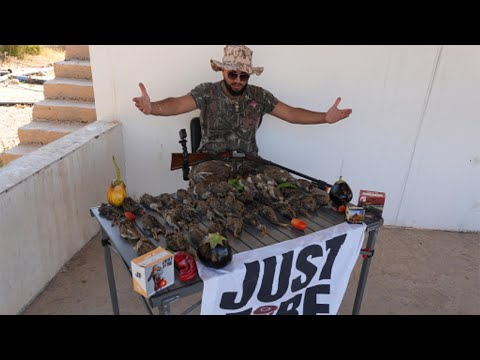 معركة طاحنة مع طيور الفري في سهل القاع اجواء نااارر