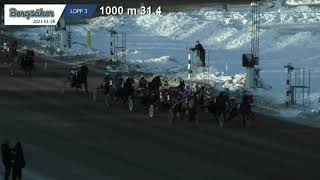 Vidéo de la course PMU PRIX LANSFORSAKRINGAR - FORDEL STON