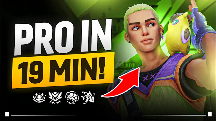 The ONLY Gekko Guide You'll EVER Need!