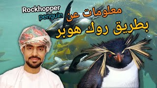 معلومات عن بطريق🐧 