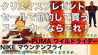 クリスマスプレゼント節約して買う 普段使いおすすめスニーカー2足！!