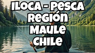 ILoca - Pesca Región Maule Chile @naturalezas7