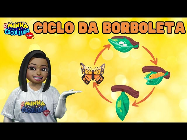 Ciclo da Borboleta G4 - Educação Infantil - Videos Educativos - Atividades para Crianças