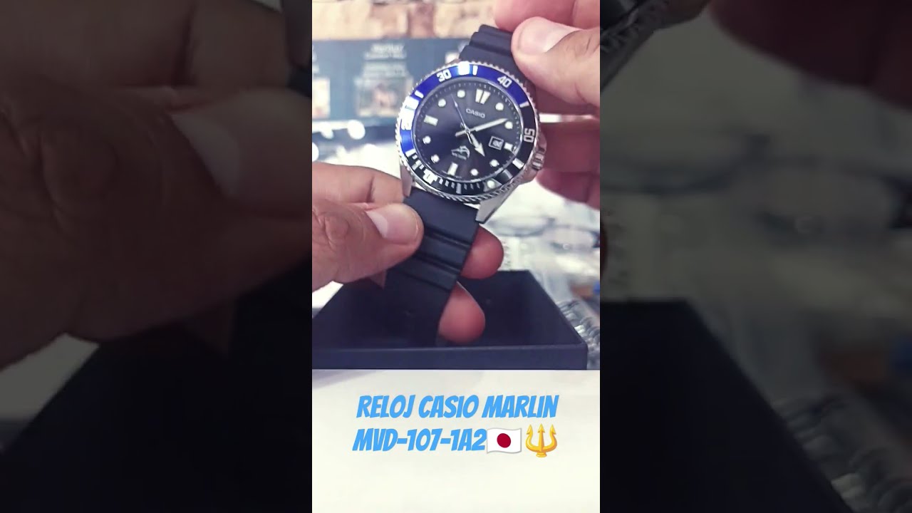 Mejor diver calidad precio cheap