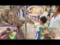 น้องบีม | เที่ยวกาญจนบุรี สวนสัตว์ค่ายสุรสีห์ ครั้งที่ 2