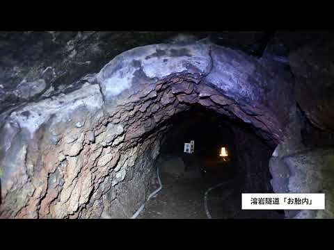 ビーグル犬ビリーと行く 富士山見えない富士周辺の旅 最終日 2024.10