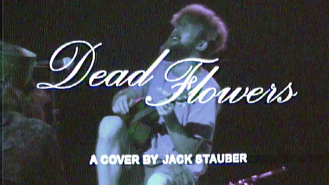 Dead Flowers Jack Stauber YouTube Music