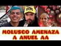 MOLUSCOTV RESPUESTA PARA ANUEL AA POR TIRADERA ARCANGEL ES CHOTA #moluscotv  #anuelaa #arcangel