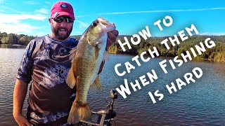 Kiedy łowienie jest trudne - jak łowić ryby screenshot 4