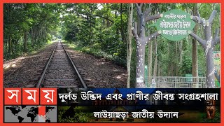 লাউয়াছড়া জাতীয় উদ্যান প্রকৃতির অপার সৌন্দর্য | Lawachara National Park | Somoy TV